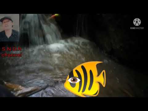 menikmati air terjun kecil sambil mengail ikan// strike sekali 😀❤️
