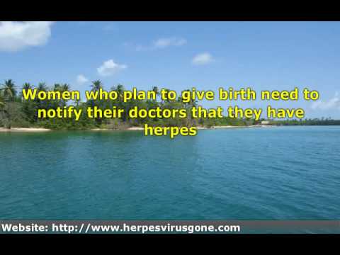 herpes genital sores. Genital Herpes. Genital Herpes