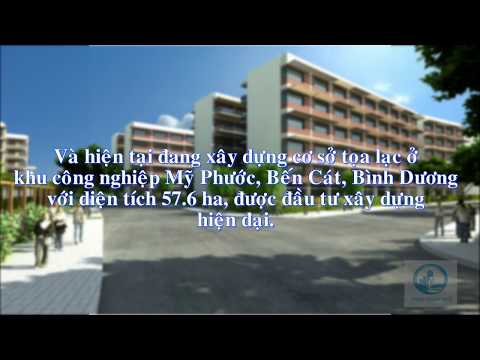 Giới thiệu Khoa ngoại ngữ Đại học Thủ Dầu Một Group 6 D17AV04 Nhập môn Thầy Vũ