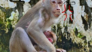 Breakingheart.... Monkey Sankra A-T-T-A-C-Kb-I-T-E Monkey Rainbow U-N-T-I-Iw-E-A-K-N-E-S-S