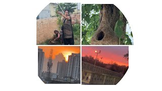 Village Vlog Sweet Sushma Vlogs