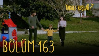 Yaralı Kuşlar 163. Bölüm