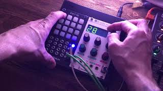 Little Sound Machine Robaux Swt16 Mutable Instruments Braids