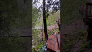 Мост Капилано, Ванкувер,Канада.capilano Suspension Bridge,Vancouver,Canada #Shorts #Canada #America