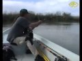 Il più grande pesce del mondo-The biggest fish of the world