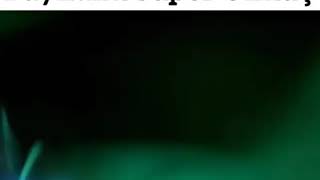 Kemal Kılıçdaroğlu & Devlet Bahçeli & Erdoğan - Reynmenin Leila Şarkısıyla Efsane Komik Remix Olmuş