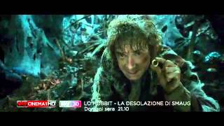 Lo Hobbit - La Desolazione Di Smaug