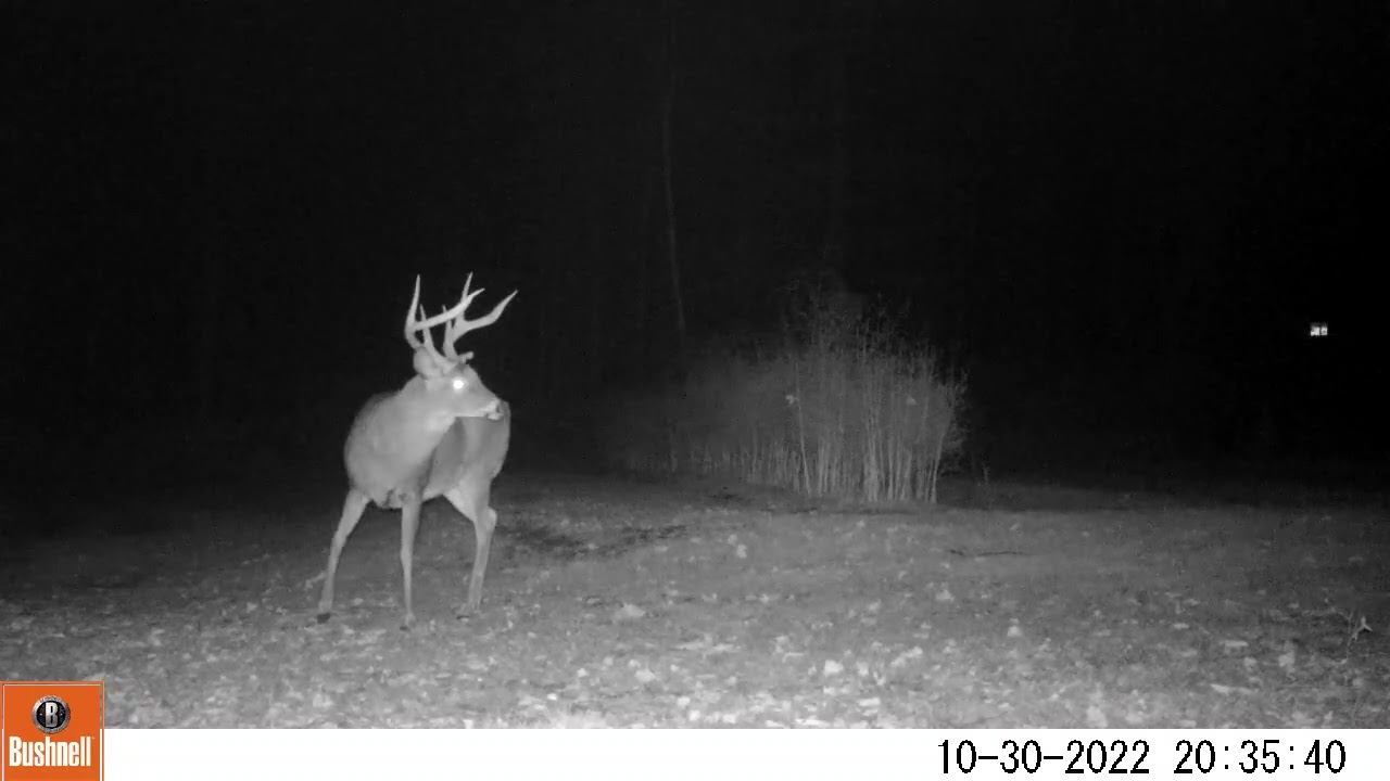 Montague Scenery & Wildlife