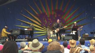 Watch Elvis Costello Flutter  Wow video