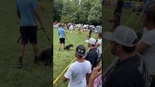 Tom Garner Pig Pickin 2023 Best Conditioned Pt2