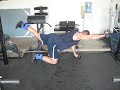 Weighted Bird Dog