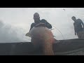 Video de