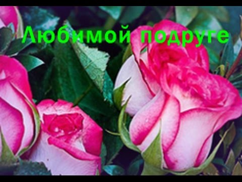 Виртуальное поздравление на день рождение подруге 514