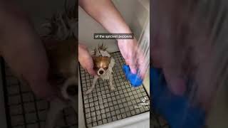 Washing My Face Meme