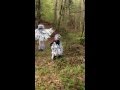 Frankenwald Wandermarathon 2013 - Waldgeister im Steinachtal