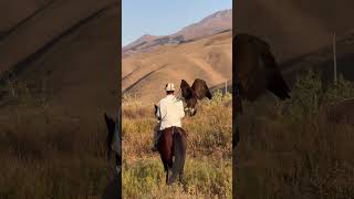 Feel The Spirit Of The Mountains Pure Kyrgyz Vibes