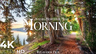 Morning Nature - Relaxation Film - Peaceful Relaxing Music - 4K Video Ultrahd