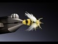 Tying a CdC wasp with Barry Ord Clarke Tying a CdC wasp with Barry Ord Clarke
