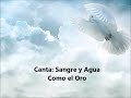 Evangelio Del Dia Lunes 20 De Febrero 2017 Sangre Y Evangelio Del Dia Lunes 20 De Febrero 2017 Sangre Y