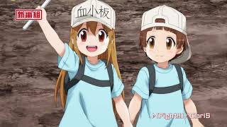 Cells at Work!! video 4