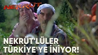 Nekrüt'lüler Türkiye'ye İniş Yapıyor | Nekrüt (2008) | Yerli Film | Weco Film