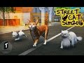 Street Cat Sim 2016