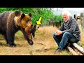 Crying Mama Bear Brings Her Injured Cub To A Man. Then Something Incredible Happens!