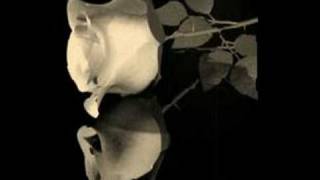 Erdal Merdan - Dilek Dagi