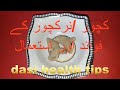 Kachoor /Narkachoor k fayde Aur istemal  by dasi health tips
