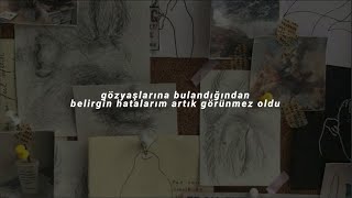 Jonghyun Diphylleia Grayitürkçe Çeviri