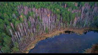 Estonia. Ida-Virumaa. Kurtna Järved. Kirjak Järv.