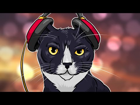 Ranker Video