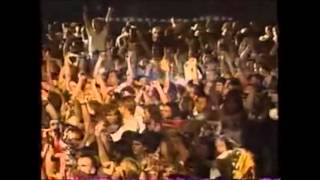 Watch Lynyrd Skynyrd Dixie video