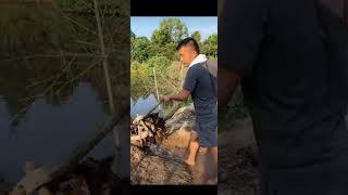 Real Nip Slip Girl Bigo Live Hot Girl Nipslip Downblouse Iglive Tiktok Live Periscope