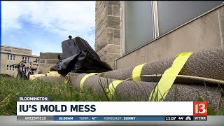 IU President on Mold