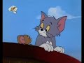 Festival de Desenhos Tom e Jerry dublados Em Português.
