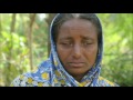 Video Sundarban in India | Royal bengal Tiger Attack in 2016-17 full movie