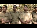 Sundarban in India | Royal bengal Tiger Attack in 2016-17 full movie Sundarban in India | Royal bengal Tiger Attack in 2016-17 full movie