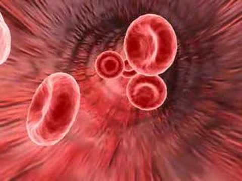 Medical animation of red blood cells - YouTube
