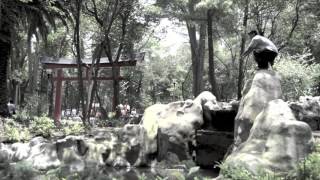 Tang Long Quan - Kung Fu Parkour