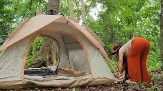 Camping Di Hutan Suasana Di Hutan Ini Sunyi Sekali , Hanya Terdengar Suara Burung