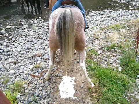 Naked teen girls peeing