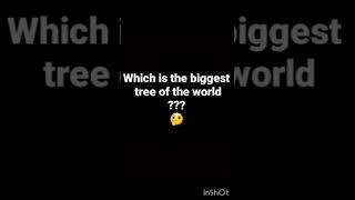 Theworld .Bacademy -Simran-Bhatt