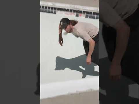 Lord Worthington Annihilates Some Crust! #Shorts