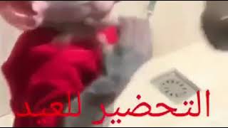 Traş Olan Maymun Keşke Bizimde Böyle Maymunumuz Olsa