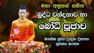 Buddha Wandanawa Ha Bodhi Pujawa බදධ වනදනව හ බධ පජව Pirith Mandapaya Official Youtube
