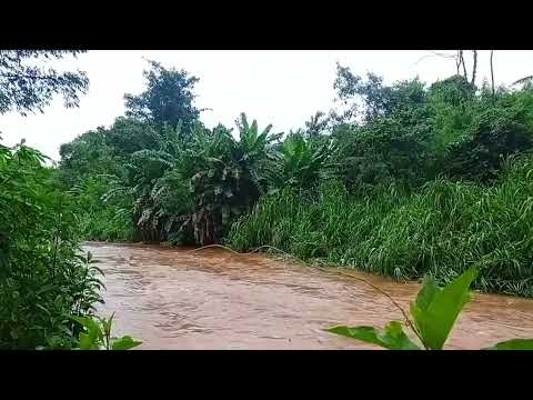 Sego Pecel Kocar kacir Iki Lho Banjir