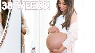2 Weeks Left!! Pregnancy Vlog & How I'm Preventing Stretch Marks!