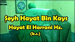 Şeyh Hayat El Harrani Hz.leri - Hayati Harrani Hz.