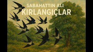 Kırlangıçlar Sabahattin Ali Kısa Öykü Sesli Hikâye